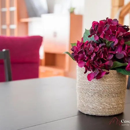 Vacacional Tina Menor - Casas De Picos Feriehus *