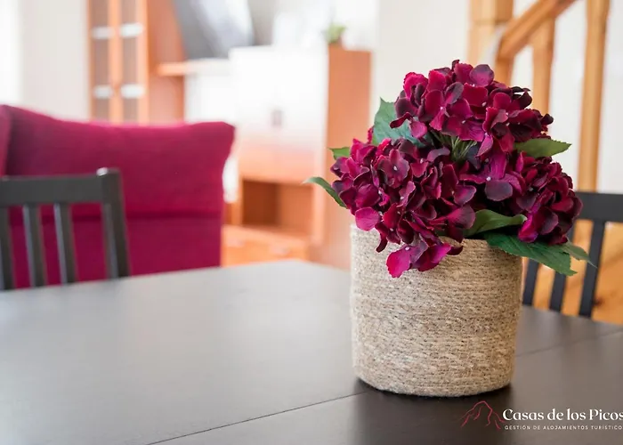 Vacacional Tina Menor - Casas De Picos Hébergement de vacances *